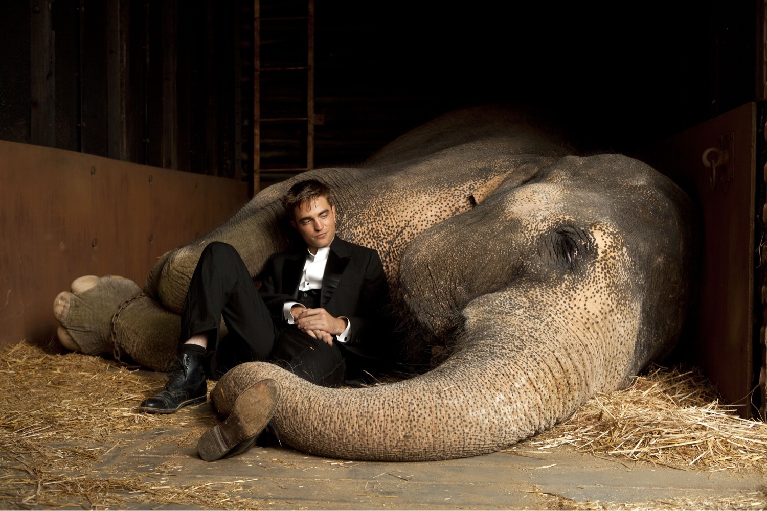 water-for-elephants