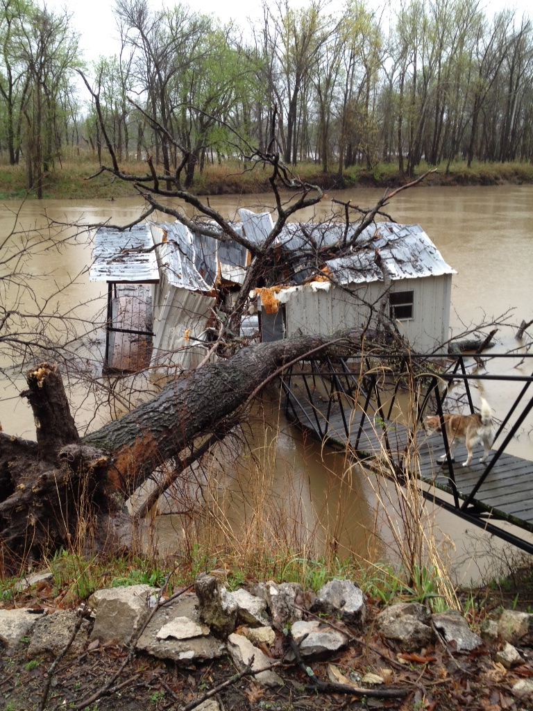 fallen tree storm damage