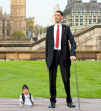 Tallest and shortest man, Guinness Record Holders