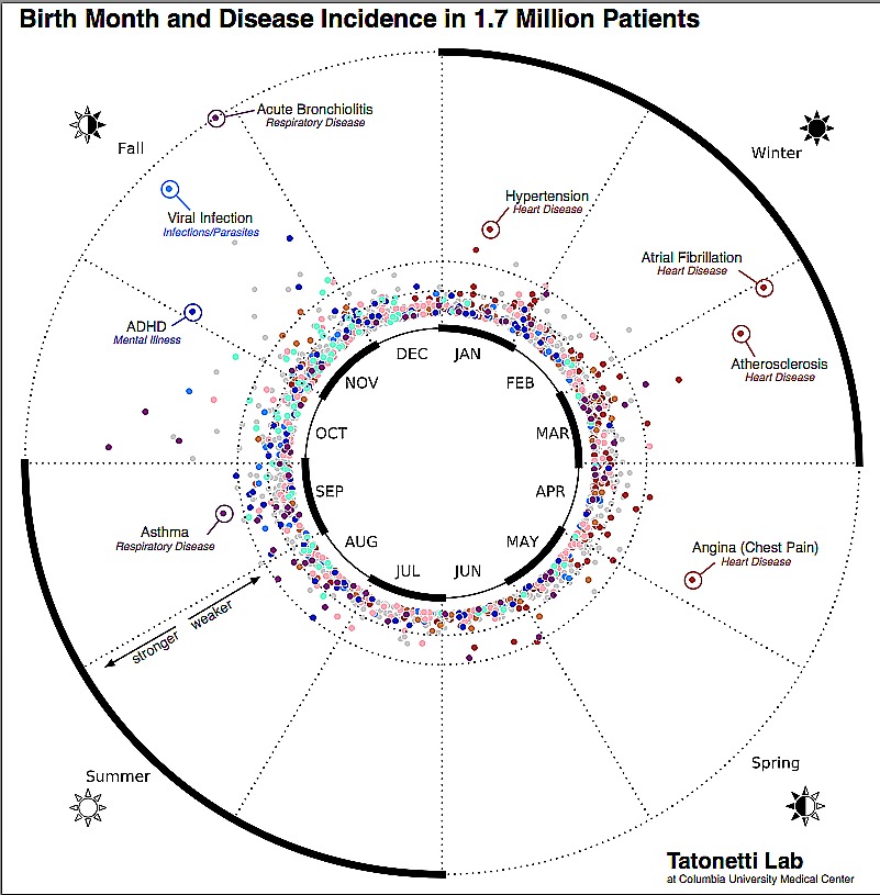 Birth month-disease wheel