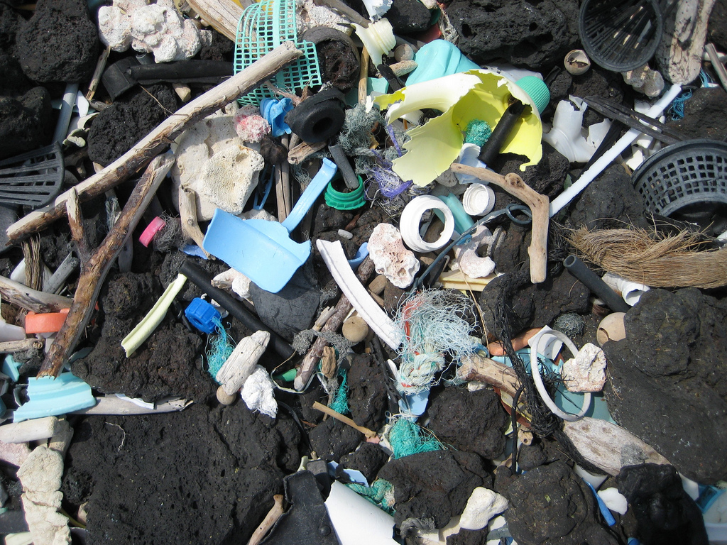 Garbage on beach - mostly plastic - from ocean