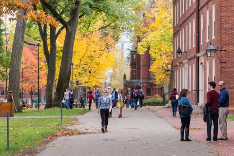 Harvard Campus in Fall
