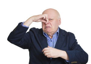 Closeup portrait, senior mature man, disgust face, pinch nose, looks funny, something stinks, very bad smell, isolated white background. Negative emotion, facial expression, feeling reaction