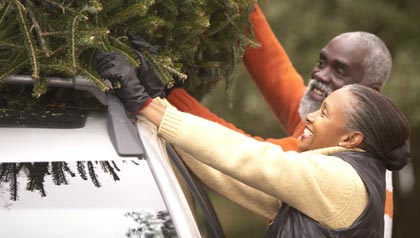 420-senior-couple-buying-perfect-christmas-tree