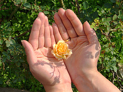 flower in hand