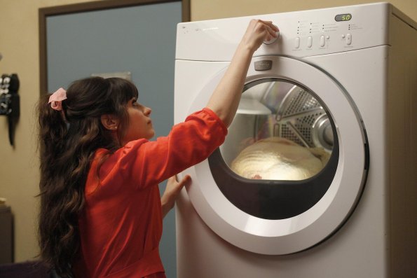 turkey in dryer