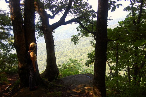 The View from the Appalachian Trail in North Georgia