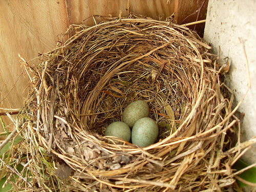 March nest egg blog photo