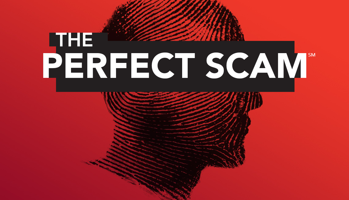 the_perfect_scam_logo