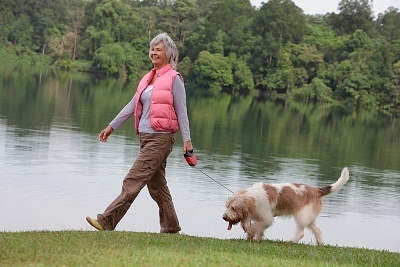 Woman walking dog