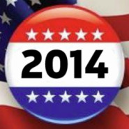 election 2014 campaign button
