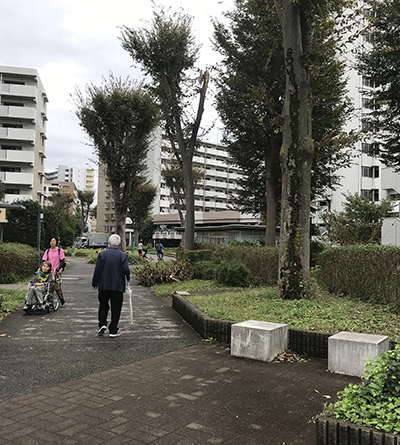 Older adults and younger adults walking through a community