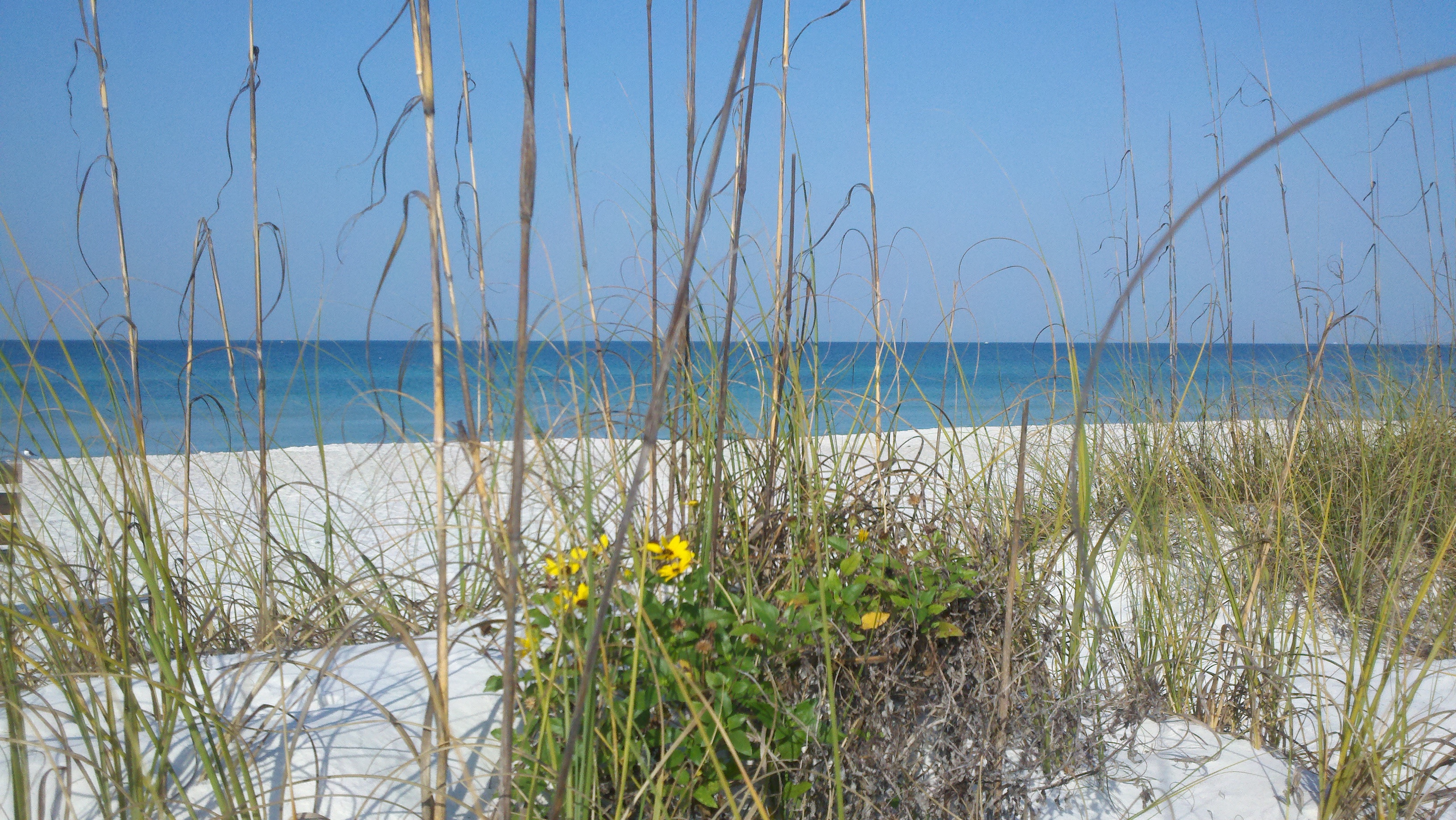 Florida Beaches