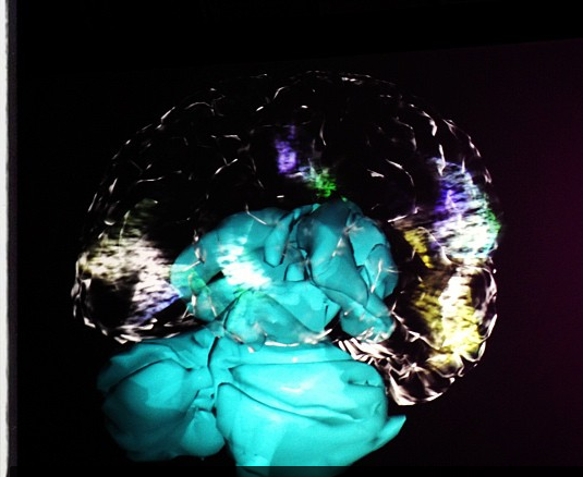 Visualized: the EEG scan of Mickey Hart's brain.