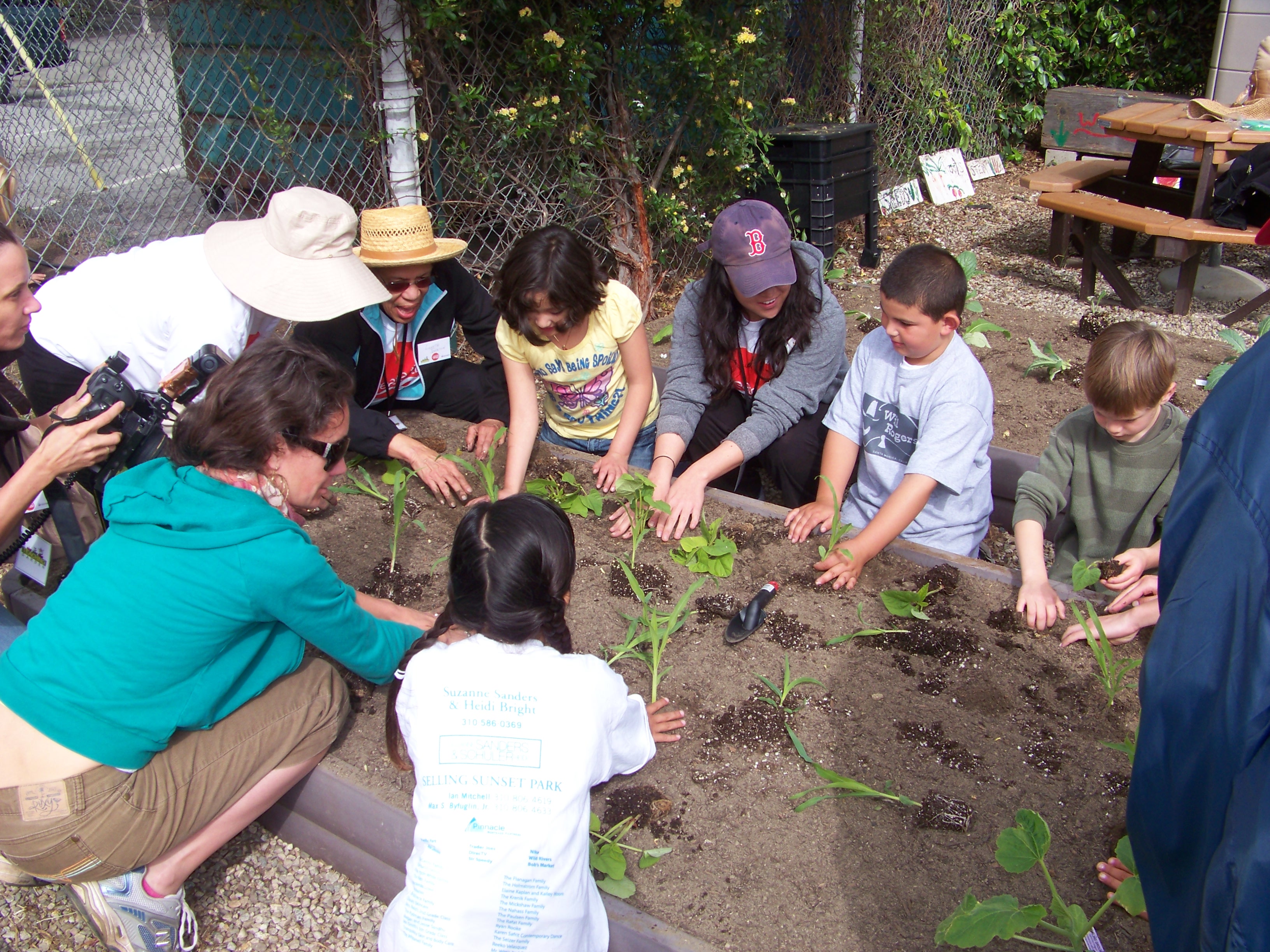 community garden 2