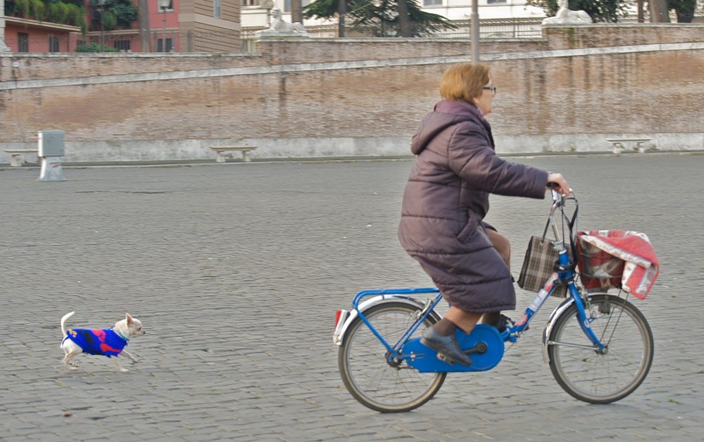 Sunday morning in Piazza del Popolo, Nov 2009 - 05