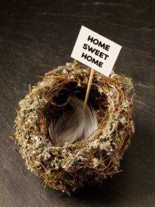 Empty nest