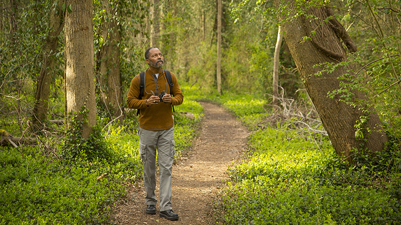 A man walking on a path in a forest looking up and holding binoculars
