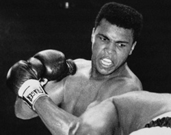 250-cassius-clay-muhammad-ali-heavyweight-champ-boxing