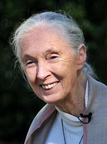 jane goodall