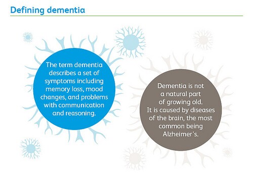 recommendations from World Alzheimer Report 2013