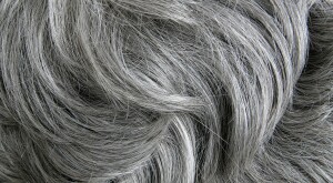 Grey hair texture