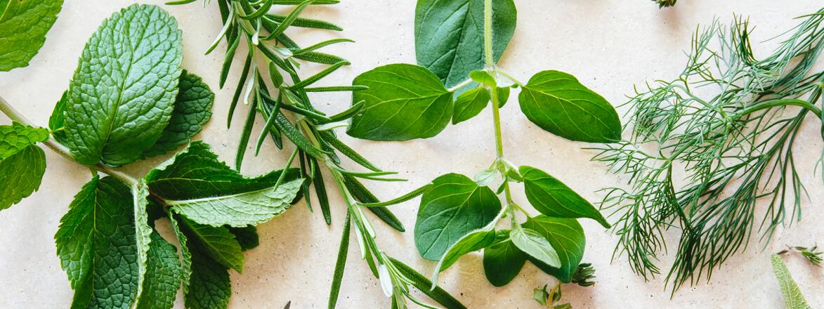 Various Herbs On Marble with scissors
