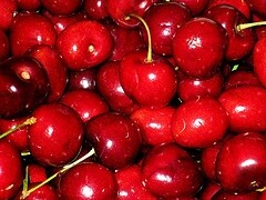 2434419860_a91757ec0a_m-2