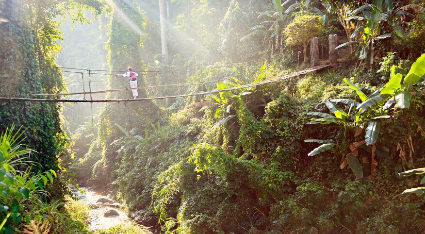 Woman with backpack on suspension bridge in rainforest