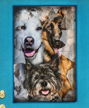 Great Pyrenees, German Shepherd, and Cairn Terrior poking their heads through broken front door window