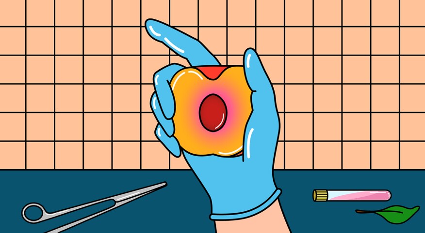 vaginal health, illustration of hand holding half of a peach