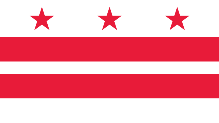 Washington D.C. Flag