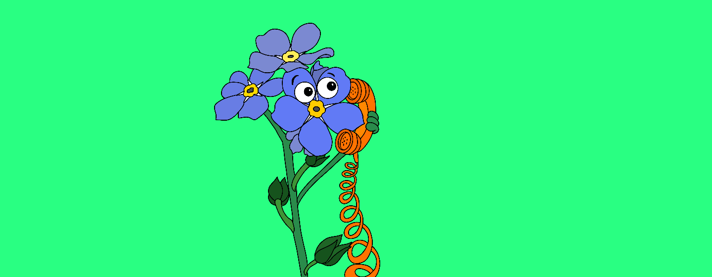Forget me not, flower, using phone, illustration, elizabeth Brockway
