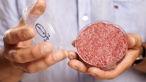 first-test-tube-burger