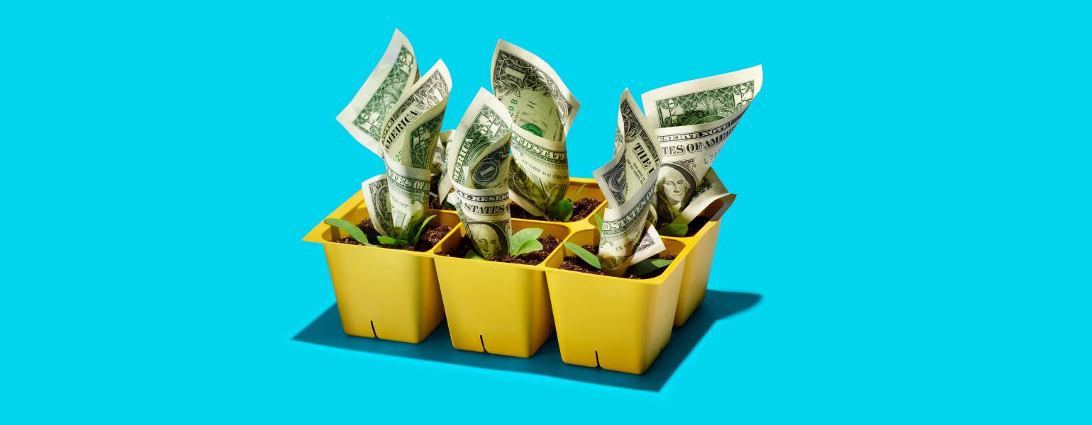 Dollar bills growing out of starter pots like flowers