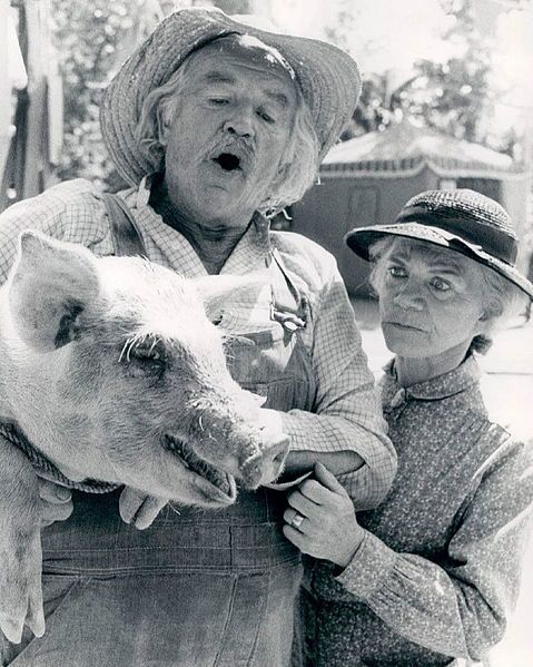 479px-The_Waltons_1974