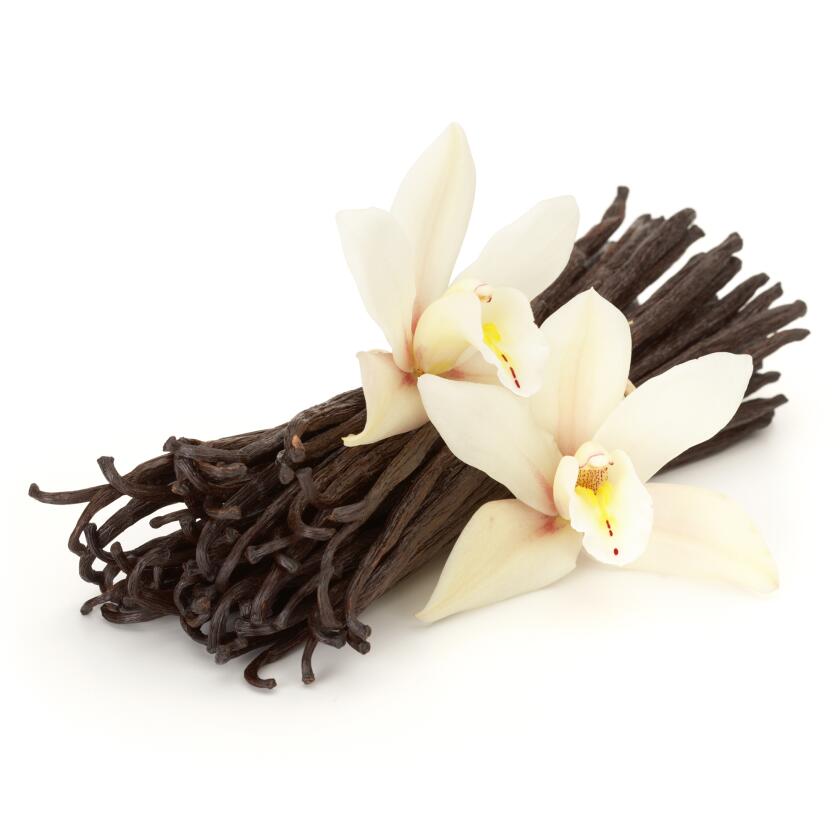 vanilla flowered