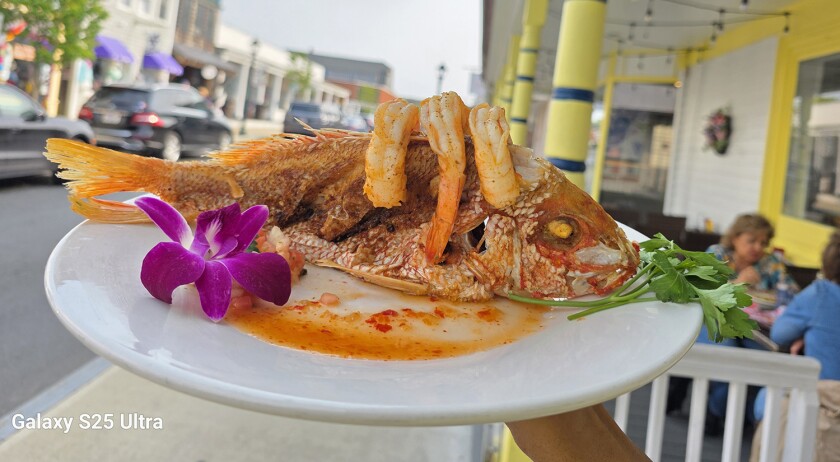 Fried stuffed snapper entree at Eleven Circuit in Oak Bluffs Massachusetts
