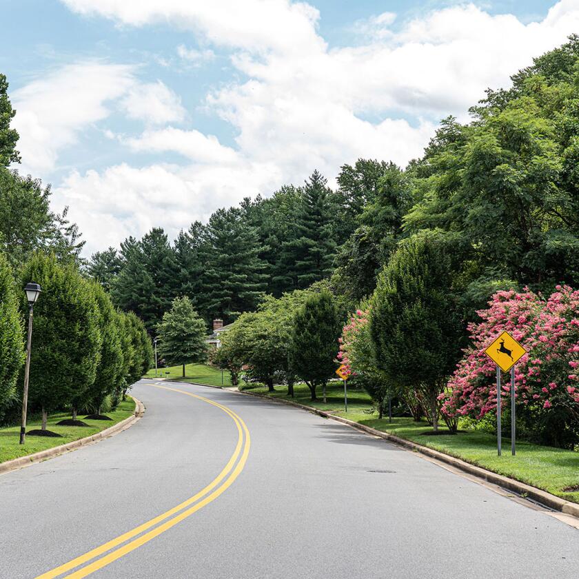 Residential street in Mitchellville neighborhood in Maryland.
