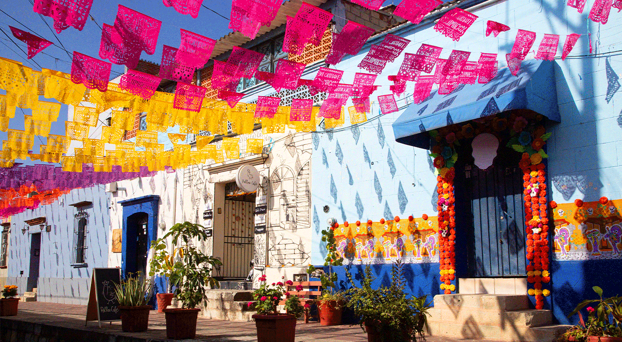 gif of photos of various travel destinations to take classes
