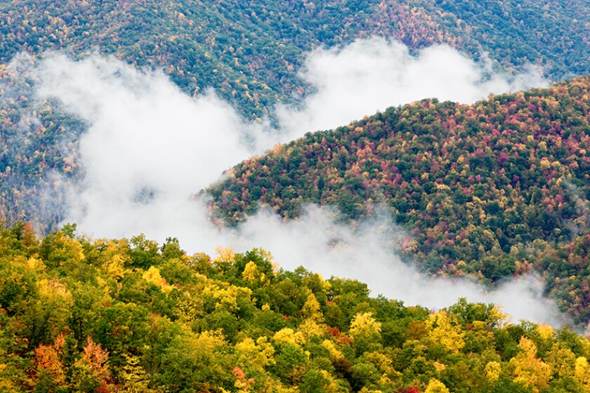 Dense clouds of fog roll through the Smoky Mountains 