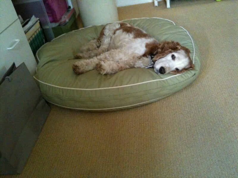 photo of Isabella