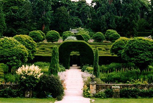 Boxwood Maze