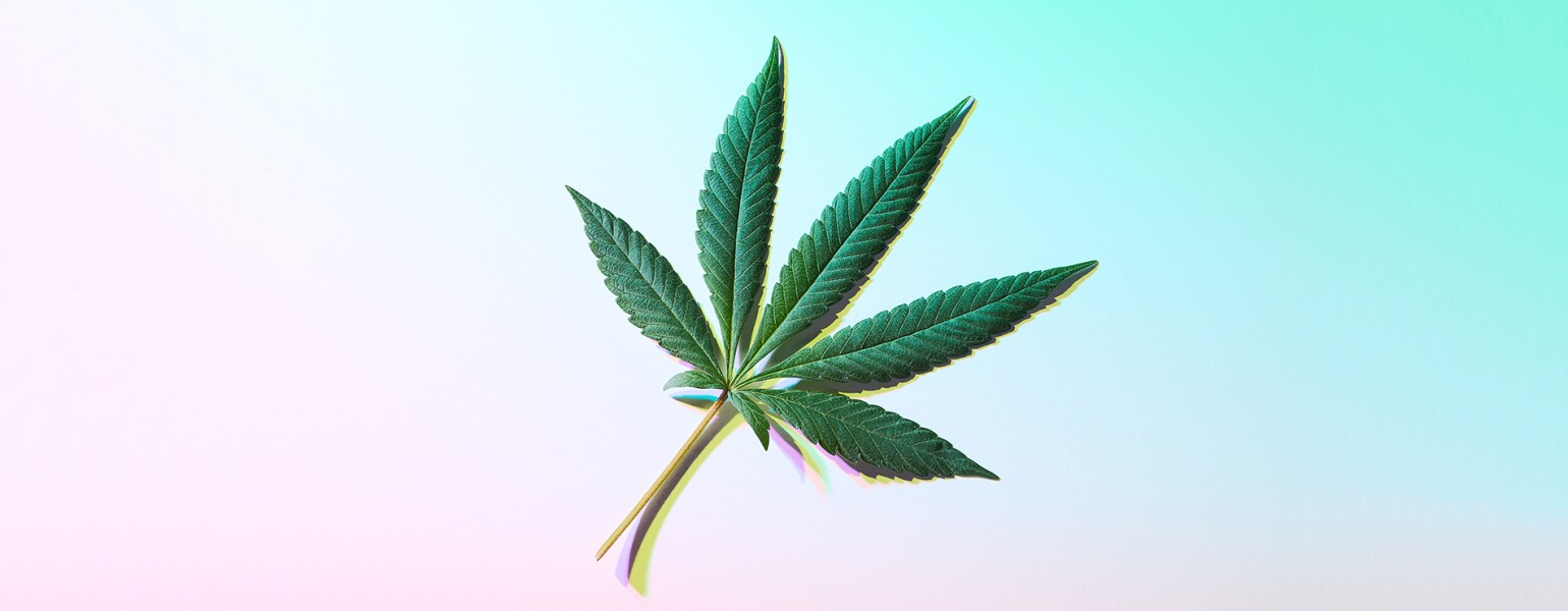 Single Cannabis Marijuana Leaf Still Life with Trippy Prismatic Shadows