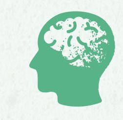 brain
