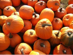 Pumpkins