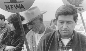 Chavez-300x179