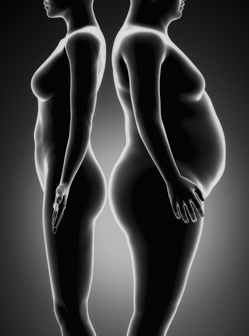 Fat and thin woman comparison