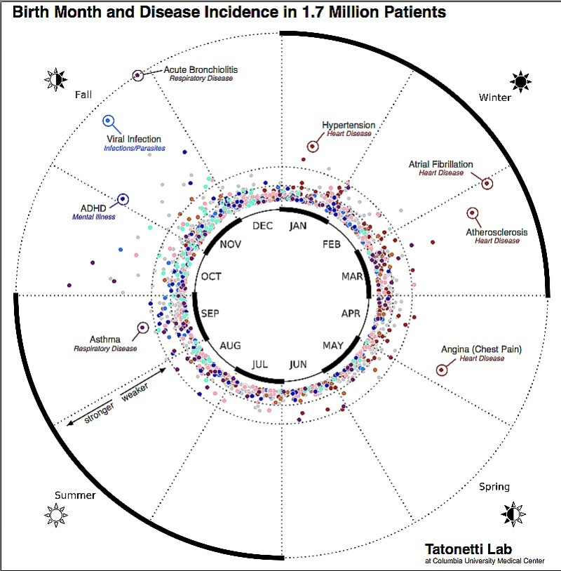 Birth month-disease wheel