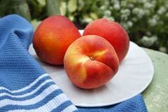 240-pesticides-fruit-vegetables-list